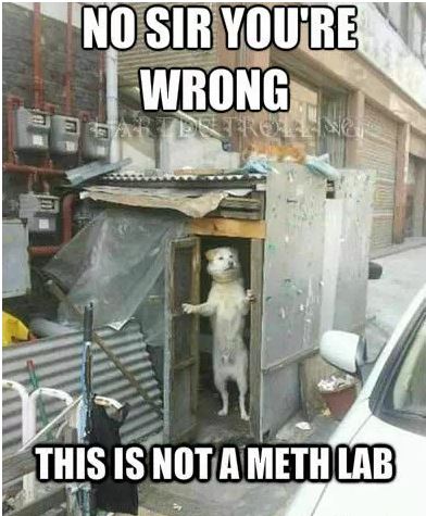 meth.JPG